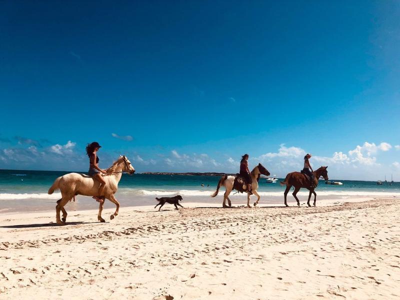 La Playa Orient Bay Otel Dış mekan fotoğraf